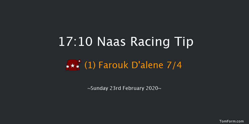 Paddy Power Super Enhancements (Pro/Am) Flat Race Naas 17:10 NH Flat Race 16f Sat 8th Feb 2020