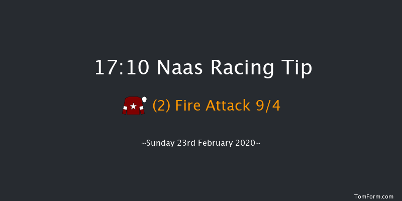 Paddy Power Super Enhancements (Pro/Am) Flat Race Naas 17:10 NH Flat Race 16f Sat 8th Feb 2020