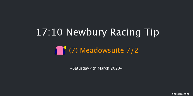 Newbury 17:10 NH Flat Race (Class 4) 16f Fri 3rd Mar 2023