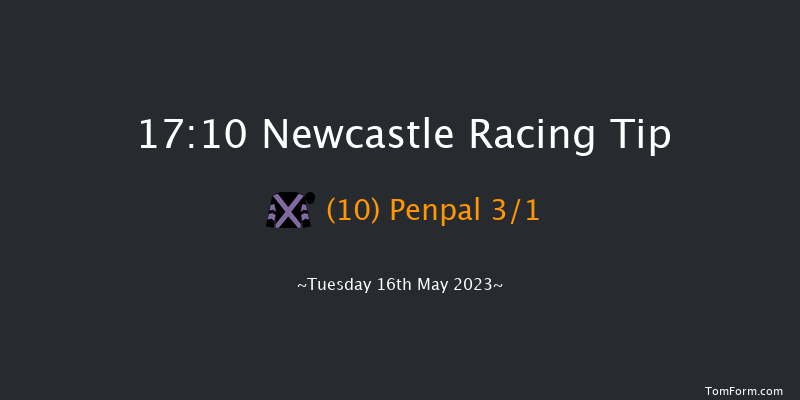 Newcastle 17:10 Handicap Hurdle (Class 5) 17f Tue 9th May 2023