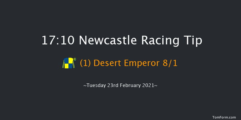 Betway Novice Stakes Newcastle 17:10 Stakes (Class 5) 10f Sat 20th Feb 2021