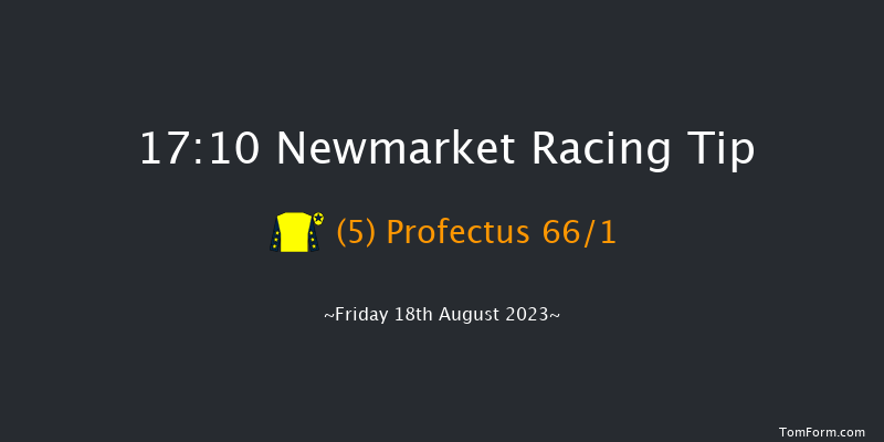 Newmarket 17:10 Stakes (Class 4) 7f Sat 12th Aug 2023