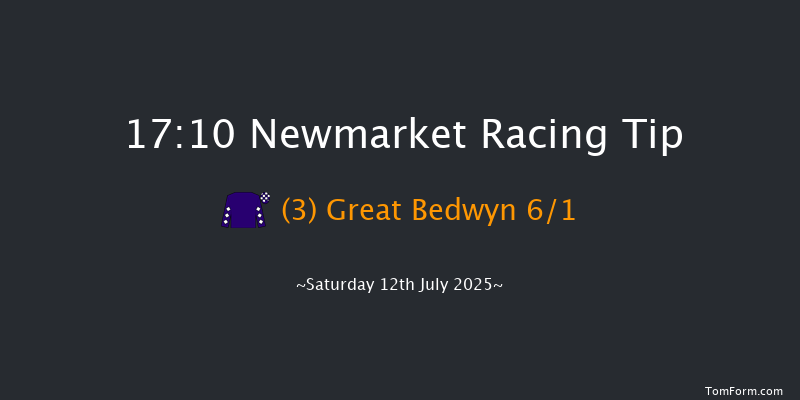 Newmarket 17-10 (Class 3) 12f Fri 11th Jul 2025