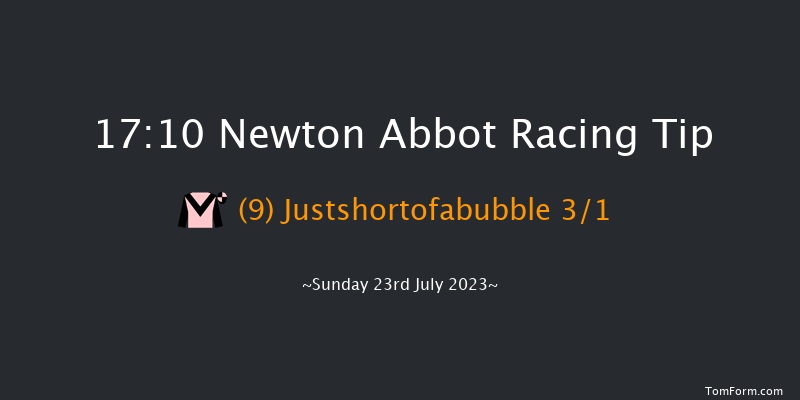 Newton Abbot 17:10 Handicap Chase (Class 5) 21f Mon 17th Jul 2023