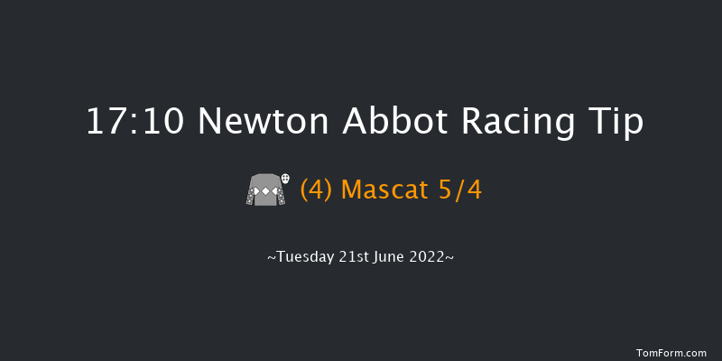 Newton Abbot 17:10 Handicap Hurdle (Class 4) 17f Fri 10th Jun 2022