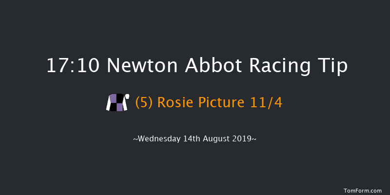 Newton Abbot 17:10 NH Flat Race (Class 5) 17f Mon 29th Jul 2019