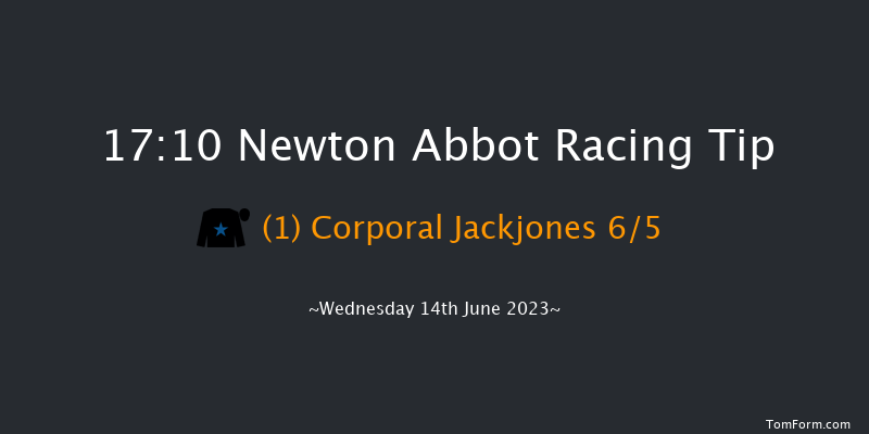 Newton Abbot 17:10 NH Flat Race (Class 5) 17f Wed 7th Jun 2023