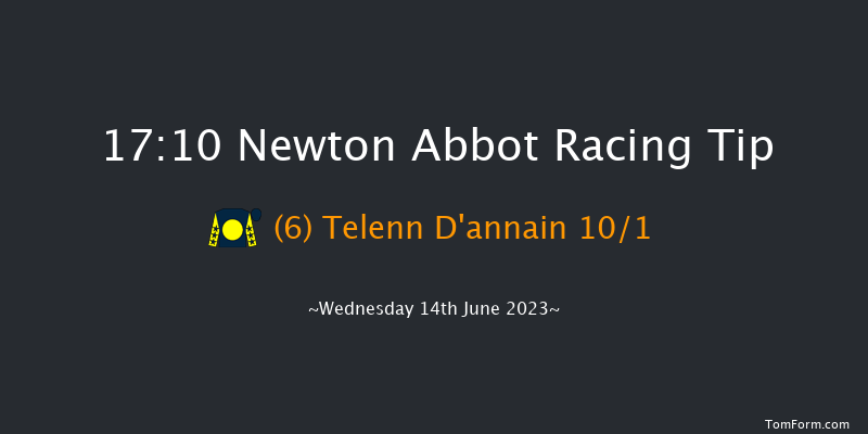 Newton Abbot 17:10 NH Flat Race (Class 5) 17f Wed 7th Jun 2023