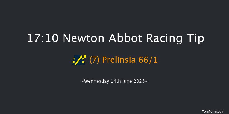 Newton Abbot 17:10 NH Flat Race (Class 5) 17f Wed 7th Jun 2023