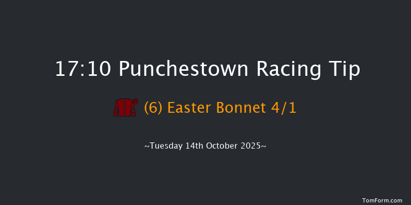 Punchestown 17-10 16f Tue 16th Sep 2025