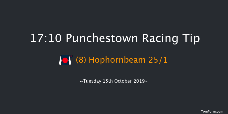 Punchestown 17:10 NH Flat Race 16f Thu 1st Jan 1970