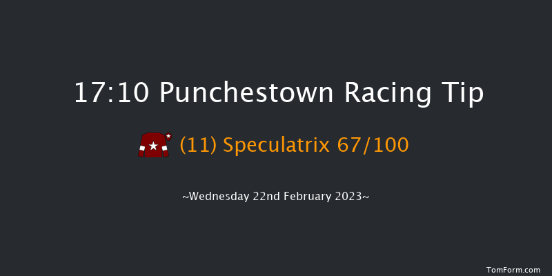 Punchestown 17:10 NH Flat Race 16f Sun 19th Feb 2023