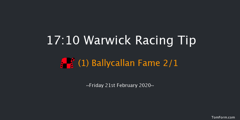 British Stallion Studs EBF Mares' Standard Open NH Flat Race Warwick 17:10 NH Flat Race (Class 5) 16f Sat 8th Feb 2020