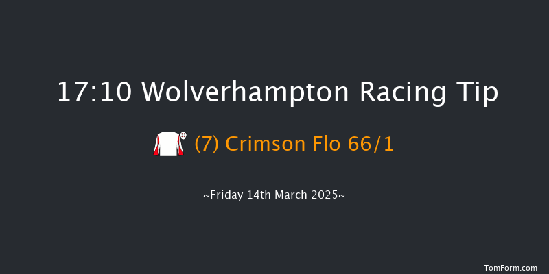 Wolverhampton  17:10 Maiden (Class 5) 6f Wed 12th Mar 2025