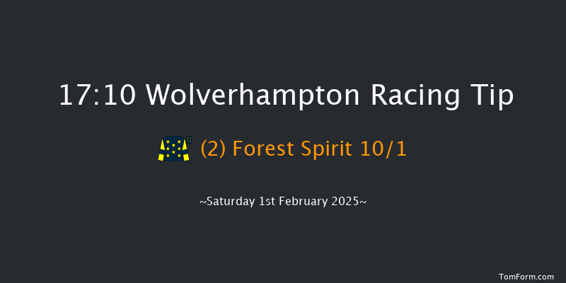 Wolverhampton  17:10 Handicap (Class 6) 14f Tue 28th Jan 2025