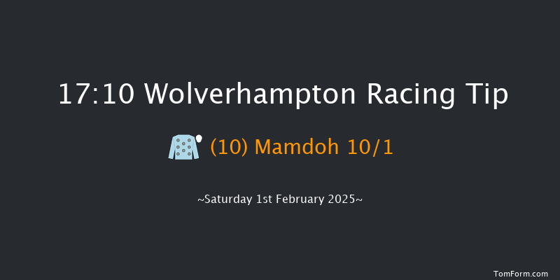 Wolverhampton  17:10 Handicap (Class 6) 14f Tue 28th Jan 2025