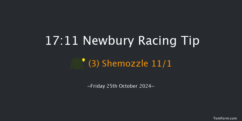 Newbury  17:11 Handicap (Class 4) 10f Sat 21st Sep 2024