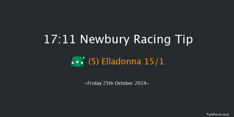 Newbury  17:11 Handicap (Class 4) 10f Sat 21st Sep 2024