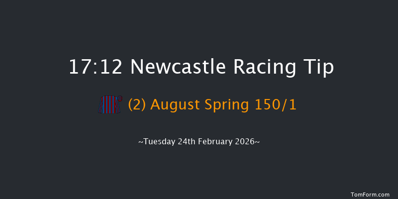 Newcastle 17-12 (Class 4) 8f Sat 21st Feb 2026