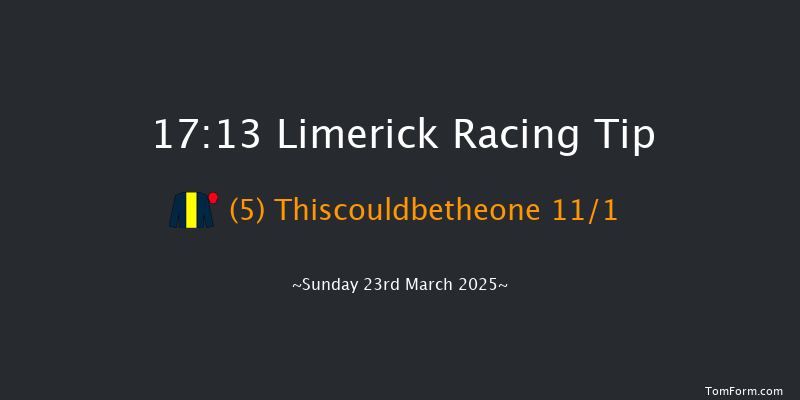 Limerick  17:13 NH Flat Race 16f Thu 13th Mar 2025