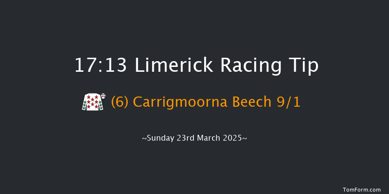Limerick  17:13 NH Flat Race 16f Thu 13th Mar 2025