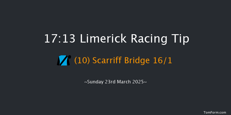 Limerick  17:13 NH Flat Race 16f Thu 13th Mar 2025