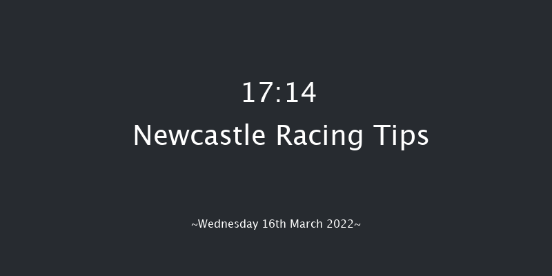 Newcastle 17:14 Handicap (Class 6) 12f Tue 15th Mar 2022