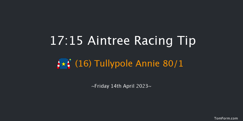 Aintree 17:15 Handicap Hurdle (Class 2) 16f Thu 13th Apr 2023