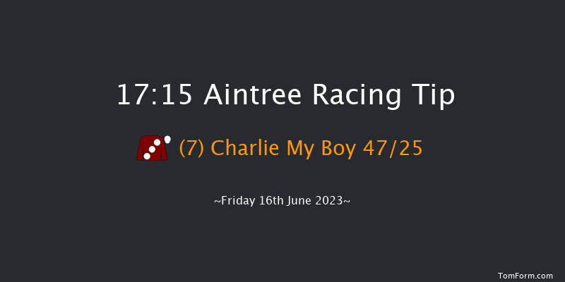 Aintree 17:15 Handicap Hurdle (Class 4) 20f Fri 19th May 2023