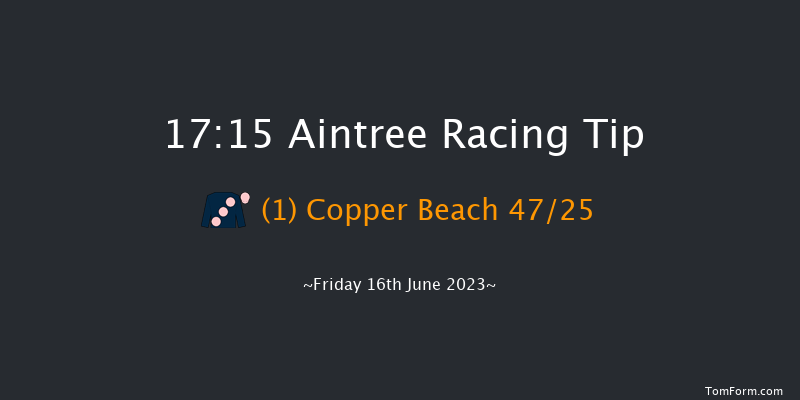 Aintree 17:15 Handicap Hurdle (Class 4) 20f Fri 19th May 2023