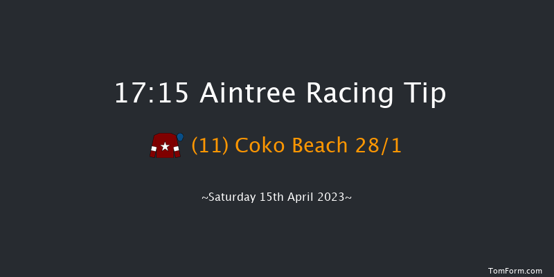 Aintree 17:15 Handicap Chase (Class 1) 34f Fri 14th Apr 2023