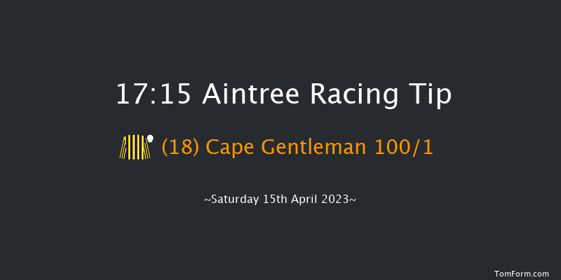 Aintree 17:15 Handicap Chase (Class 1) 34f Fri 14th Apr 2023