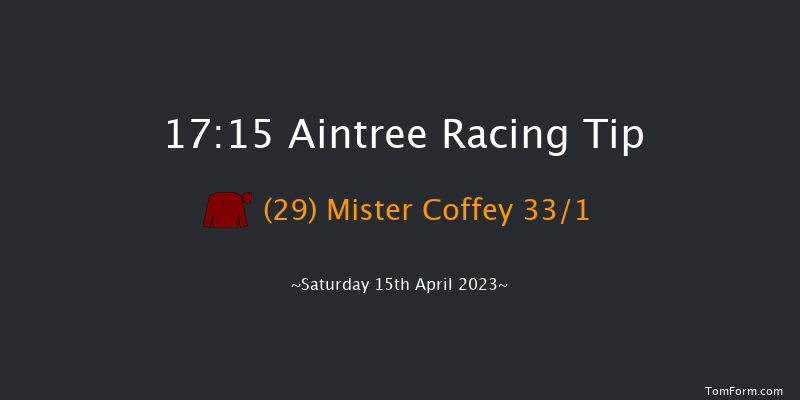 Aintree 17:15 Handicap Chase (Class 1) 34f Fri 14th Apr 2023