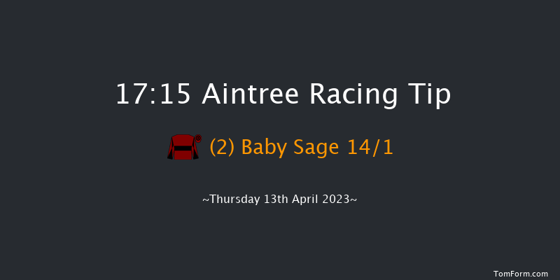 Aintree 17:15 NH Flat Race (Class 1) 17f Sat 3rd Dec 2022