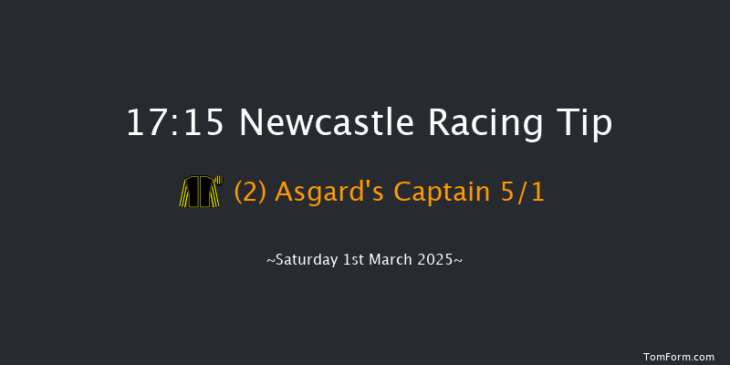 Newcastle  17:15 Handicap (Class 4) 10f Thu 27th Feb 2025
