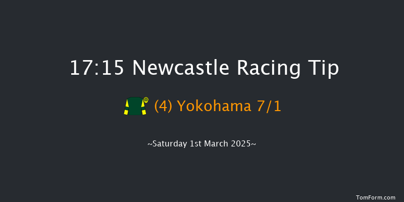 Newcastle  17:15 Handicap (Class 4) 10f Thu 27th Feb 2025