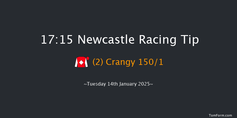 Newcastle  17:15 Maiden (Class 4) 7f Sat 11th Jan 2025