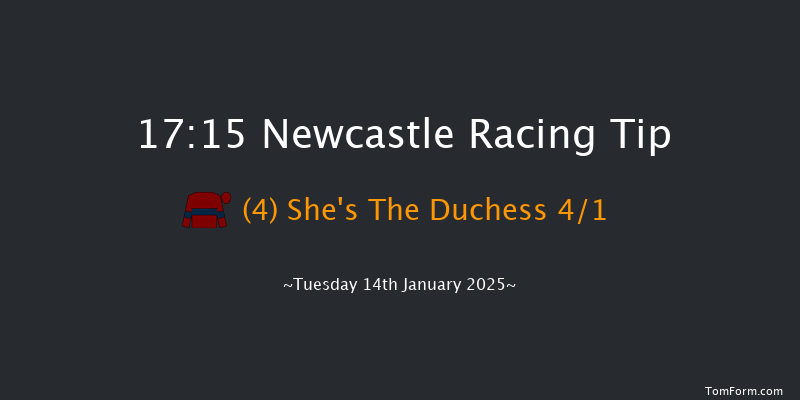 Newcastle  17:15 Maiden (Class 4) 7f Sat 11th Jan 2025