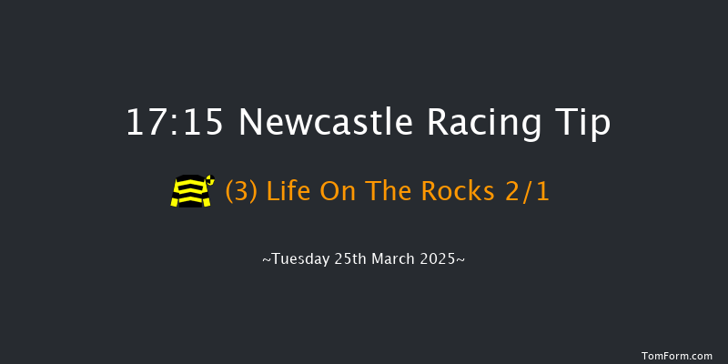 Newcastle  17:15 Handicap (Class 6) 10f Sat 22nd Mar 2025