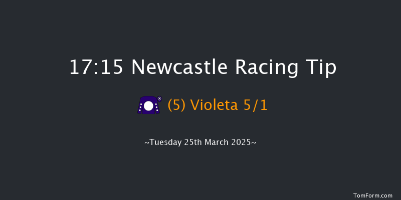 Newcastle  17:15 Handicap (Class 6) 10f Sat 22nd Mar 2025