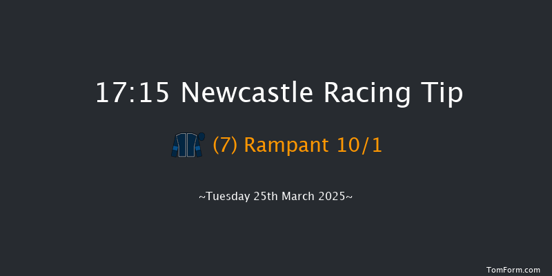 Newcastle  17:15 Handicap (Class 6) 10f Sat 22nd Mar 2025