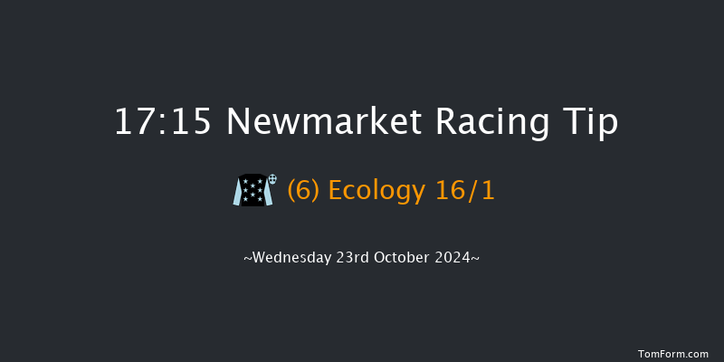 Newmarket  17:15 Handicap (Class 4) 7f  Sat 12th Oct 2024