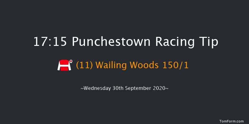 Download The Racing Post App (Ladies Pro/Am) Flat Race Punchestown 17:15 NH Flat Race 16f Tue 29th Sep 2020