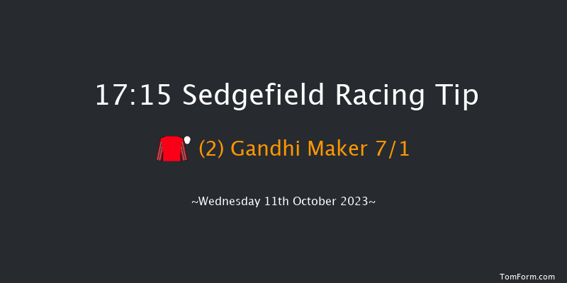 Sedgefield 17:15 Handicap Chase (Class 4) 17f Tue 3rd Oct 2023
