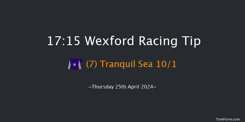 Wexford  17:15 Handicap Hurdle 24f Fri 5th Apr 2024