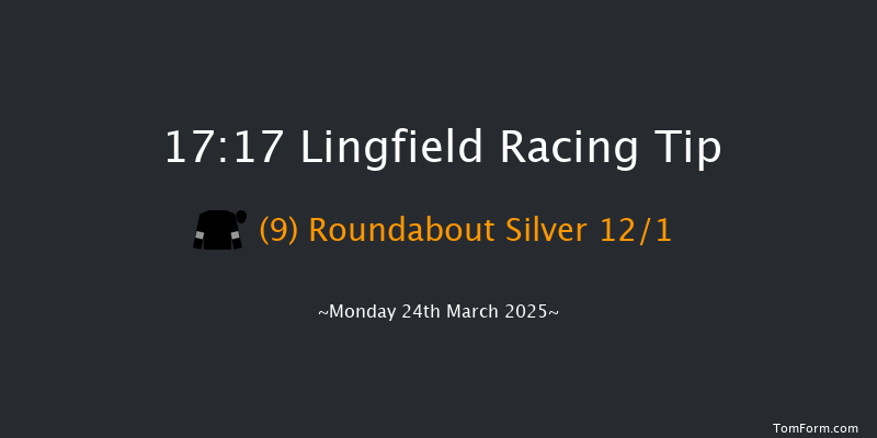 Lingfield  17:17 Stakes (Class 6) 10f Wed 5th Mar 2025
