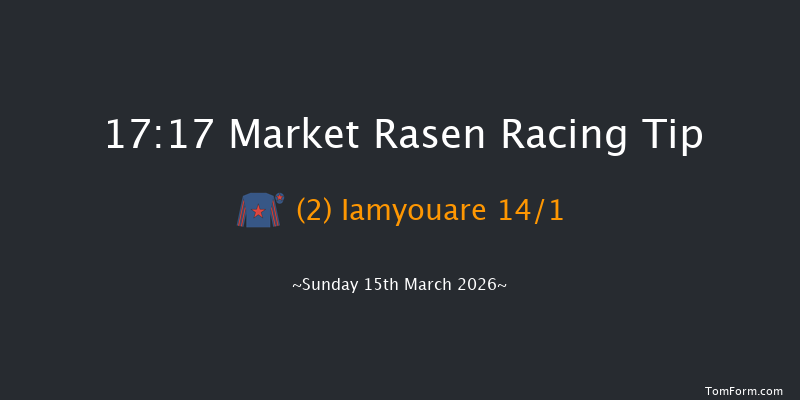Market Rasen 17-17 (Class 5) 16f Tue 3rd Mar 2026