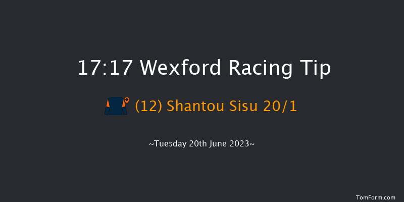 Wexford 17:17 Handicap Chase 25f Wed 31st May 2023