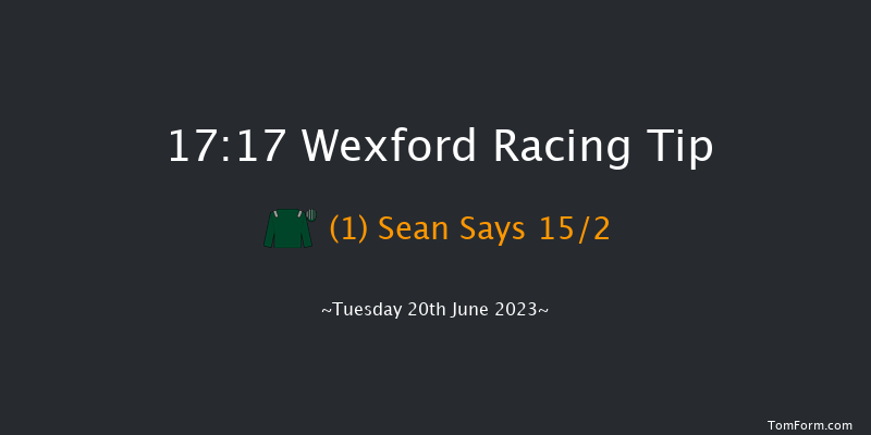 Wexford 17:17 Handicap Chase 25f Wed 31st May 2023