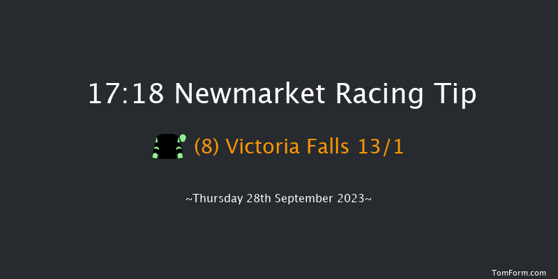 Newmarket 17:18 Handicap (Class 4) 8f Sat 23rd Sep 2023